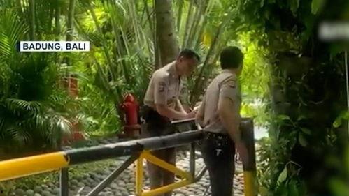 巴厘岛情侣身亡爆料视频,揭秘背后真相与疑云  第1张